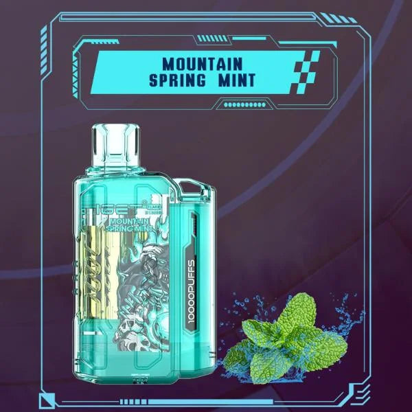 IGET FLARE B10000 – Mountain Spring Mint - Vape Shop Faridabad